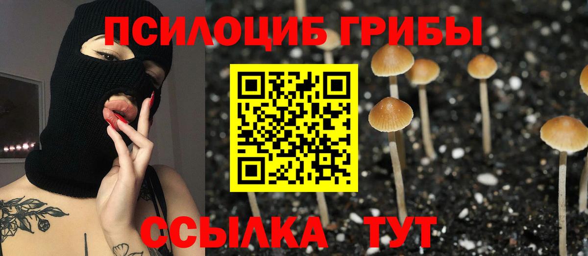 Семилуки  где купить наркотик  Галлюциногенные грибы прущие грибы  Вход с VPN  Псилоцибиновые грибы мицелий 